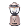 Фонарь OLIGHT OLANTERN STRETCH VINTAGE COPPER COLOR 003632